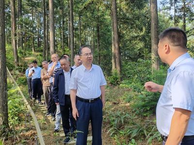 科技賦能，生態富民 福建省林業局領導赴福州、寧德調研林下經濟與電子產品銷售新模式