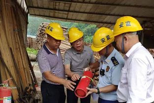 守牢安全底線 護航林業發展——鳳山大隊聯合應急管理局、林業局開展木材加工廠消防安全檢查